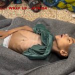 The Great Partisan Reset, UN Says Nuseirat “Rescue” Illegal Massacre & The Ceasefire/Starvation Ploy